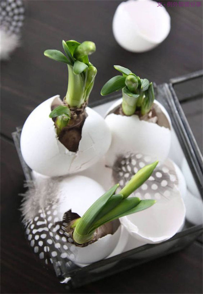 “她”不小心打碎了雞蛋，結(jié)果美翻了整個(gè)家！-別墅設(shè)計(jì),軟裝設(shè)計(jì),室內(nèi)設(shè)計(jì),豪宅設(shè)計(jì),深圳例外軟裝設(shè)計(jì)公司