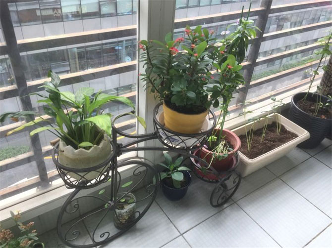 CCTV2《交換空間》收官之作--48小時，教你打造專屬的“秘密花園”-別墅設計,軟裝設計,室內設計,豪宅設計,深圳例外軟裝設計公司