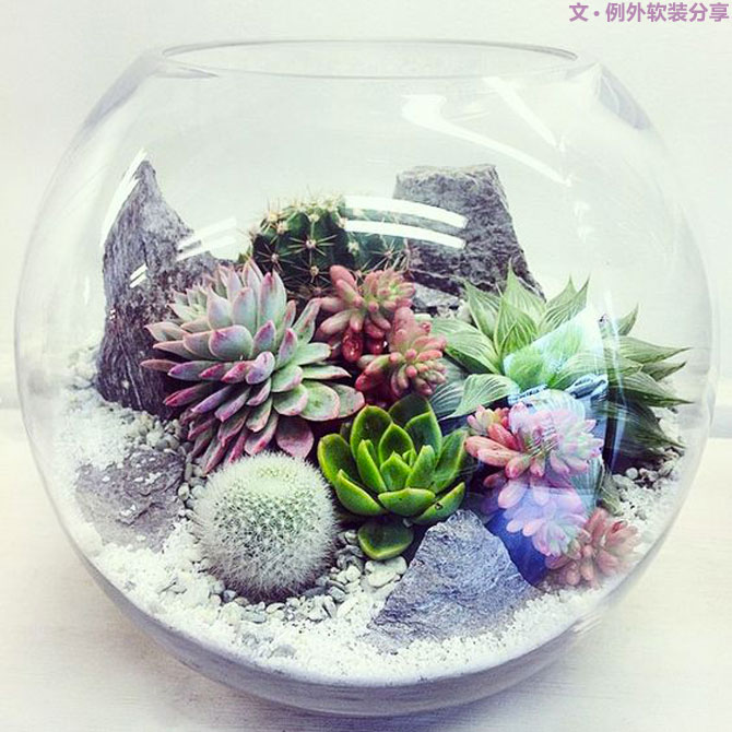 地球人都得了一種，看見(jiàn)“她”就想抱回家養(yǎng)的病！-別墅設(shè)計(jì),軟裝設(shè)計(jì),室內(nèi)設(shè)計(jì),豪宅設(shè)計(jì),深圳例外軟裝設(shè)計(jì)公司