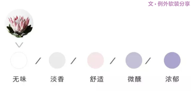 【例外·花箋記】沒有哪個姑娘能拒絕這樣一支奇葩！-別墅設(shè)計,軟裝設(shè)計,室內(nèi)設(shè)計,豪宅設(shè)計,深圳例外軟裝設(shè)計公司