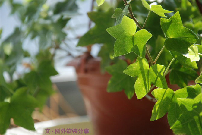 新房子裝修甲醛從哪里來？-別墅設(shè)計(jì),軟裝設(shè)計(jì),室內(nèi)設(shè)計(jì),豪宅設(shè)計(jì),深圳例外軟裝設(shè)計(jì)公司